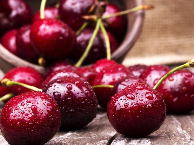 Вишня купить саженцы из питомника в Запорожье